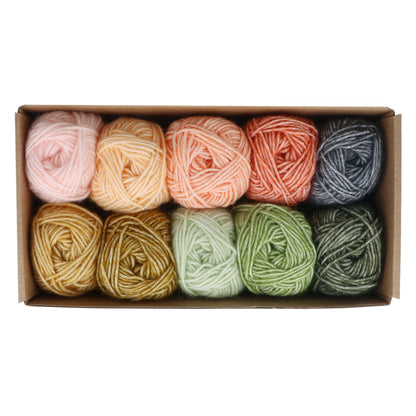 Scheepjes Stone Washed Colour Pack - Intentions